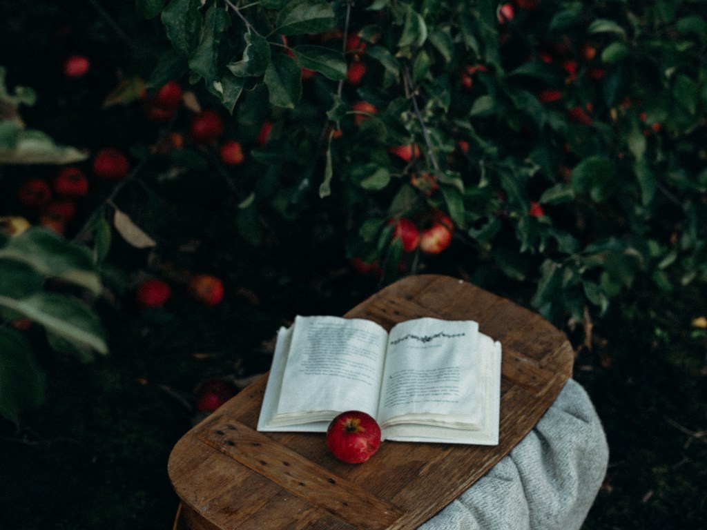 5 Books to Read This&nbsp;Fall