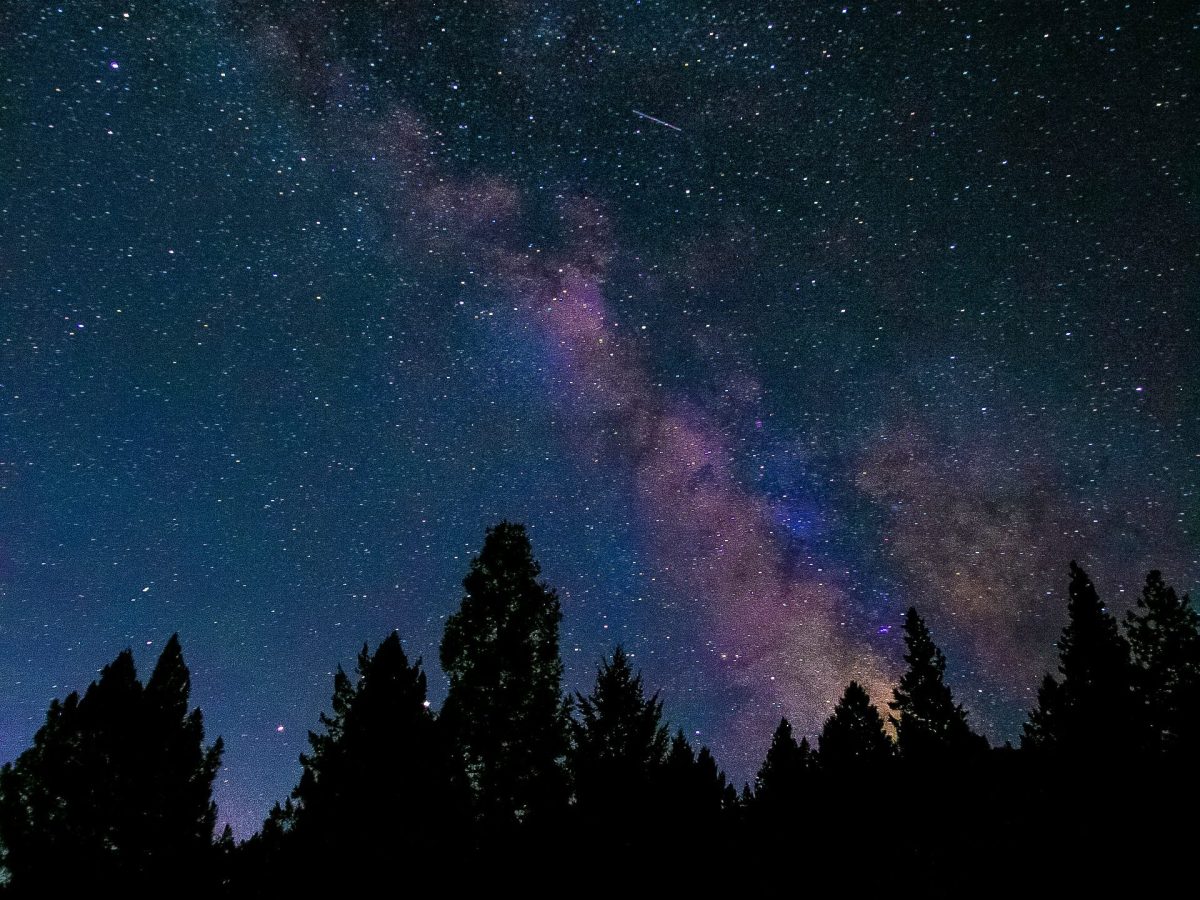 Book Review: Where the Forest Meets the&nbsp;Stars